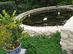 -活水公园