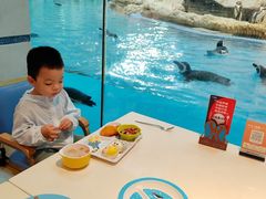 -帝企鹅自助餐厅•儿童岛•真企鹅(长隆企鹅酒店)