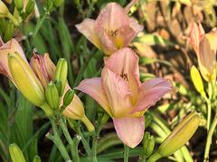 -汉长安城未央宫国家考古遗址公园