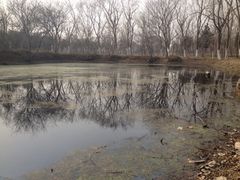 -蜀冈西峰生态公园