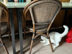 -嵊州特色小吃(萧山街店)