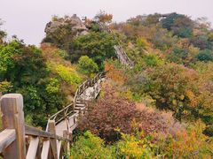 -大岭沟猕猴桃谷风景区