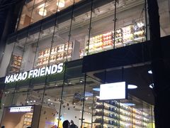 -KAKAO FRIENDS(弘大店)