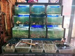 -老东镇啤酒屋海鲜加工·蒸汽海鲜·海鲜烧烤(台东店)