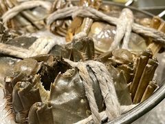 -丽都皇冠假日酒店·Matrix亦餐厅(望京店)
