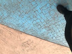 -芜湖新华联大白鲸海洋公园