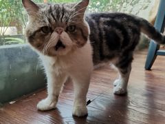 -参差咖啡(水果湖公园店)