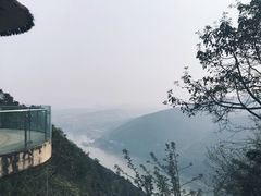 -铁山坪森林公园