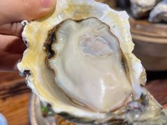 原味桑拿蚝-蚝美人·生蚝海鲜烧烤(茶花园店)