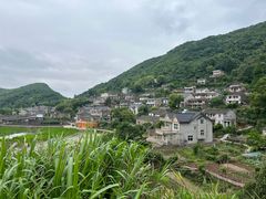 -花岙岛