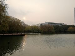 -金桥现代产业园区-停车场