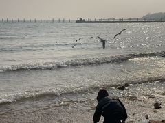 -青岛第二海水浴场