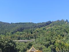-西双版纳原始森林公园