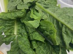 -土连锅·现熬养生汤锅(梁家巷店)