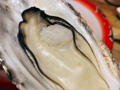 -辉记炭烧海鲜大排档·老字号(福田店)