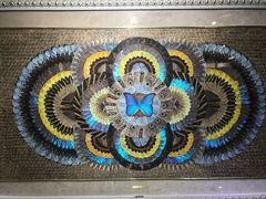 -上海昆虫博物馆