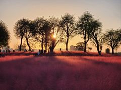 -汉长安城未央宫国家考古遗址公园