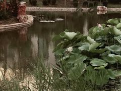 -北京国家会计学院