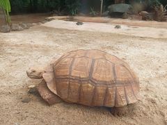 -海南热带野生动植物园