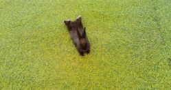 -萌宠亲子动物乐园(槐房万达店)