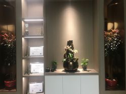 -艾维庭美学SPA