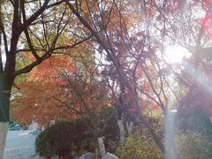 -武汉园博园(武汉自然博物馆)