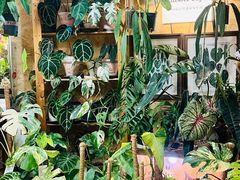 -Rabbit Cafe私房西餐甜点咖啡(栖霞路店)