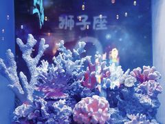 -上海海昌海洋公园