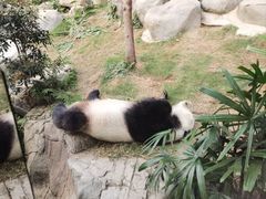 -香港海洋公园
