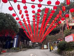 -巴倒烫陆派火锅山庄(南山总店)