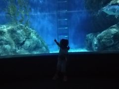 -暹罗海洋世界