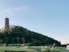 -红花山公园