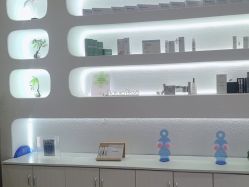 -薇薇安花系SPA