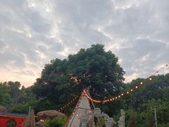 -HERRE·FARM 赫尔露营农场·团建聚会包场