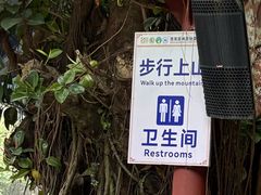-西双版纳原始森林公园