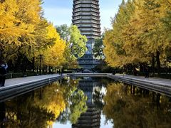 -玲珑塔公园