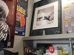 -浣熊唱片店(上海影城店)