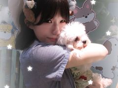 -汪说·狗咖·拼豆·宠物周边DIY(旺城大厦店)