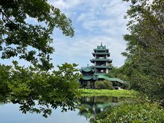 -桂湖森林公园