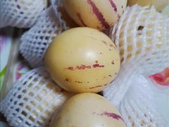 -百果园PAGODA(中铭豪园店)