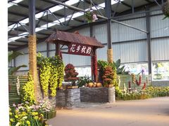 菊花展-三圣花乡旅游区