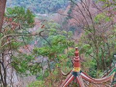 -黔灵山公园