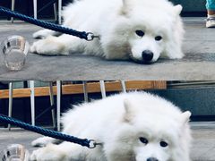 -81BAKERY(大学路店)