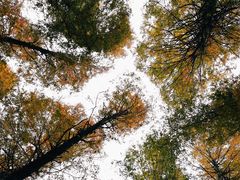 -山王坪喀斯特国家生态公园