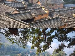 -杨家堂村
