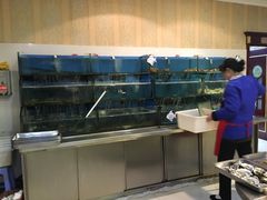-春华海鲜城(广场西苑店)