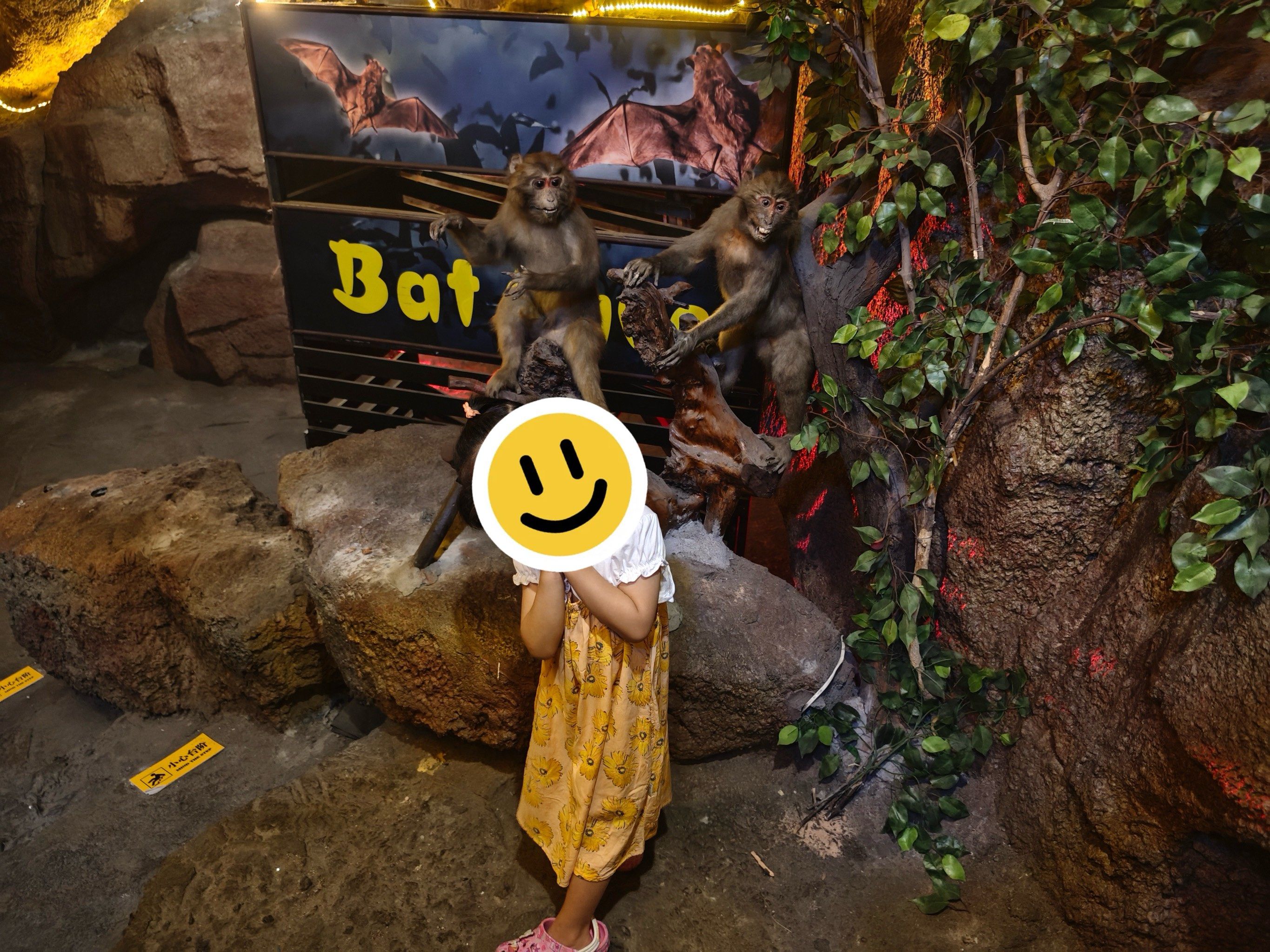 藏在上海郊区的溶洞石头博物馆