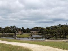 -威勒比开放式动物园