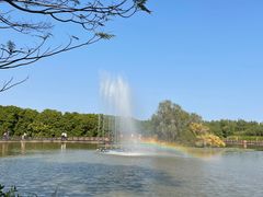 -大湾区中央湿地公园