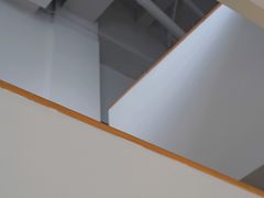 -猫里有甜